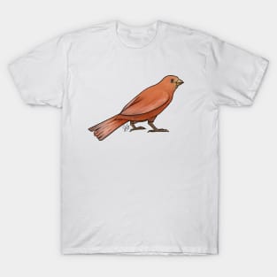 Bird - Canary - Rubino T-Shirt